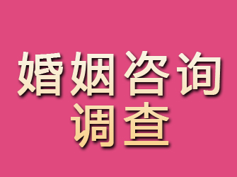 梅河口婚姻咨询调查