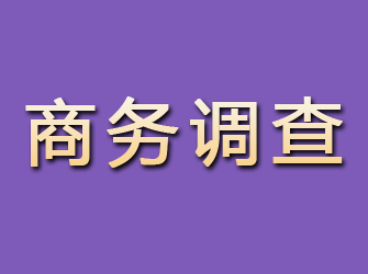 梅河口商务调查